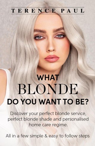 Discover Your Perfect Blonde