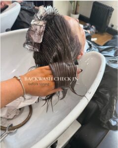 Professional Hair Toning 